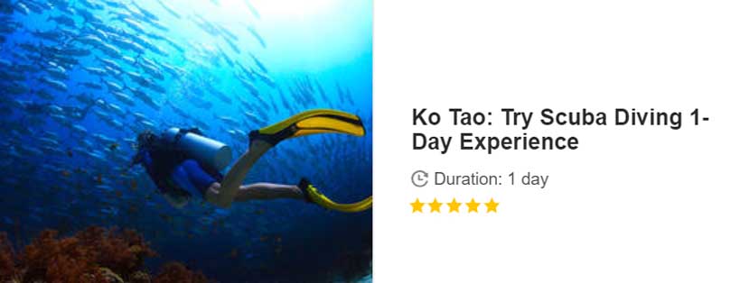 Button for Get your guide tour - Ko Tao: Try Scuba Diving 1-Day Experience