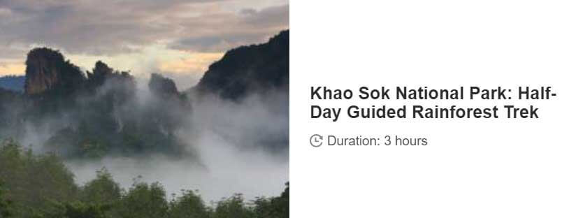 Button for Get your guide tour - Khao Sok National Park: Half-Day Guided Rainforest Trek