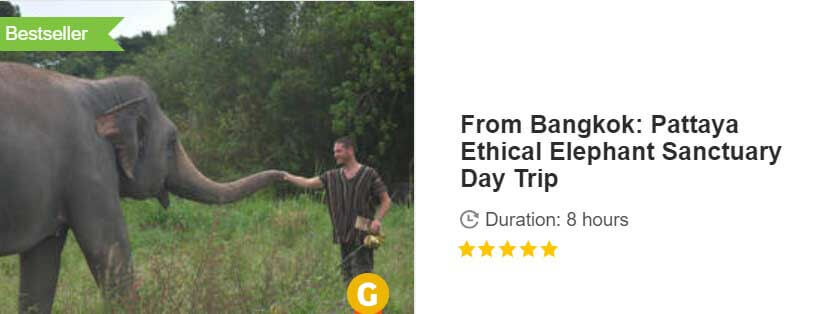 Button for Get your guide tour From Bangkok: Pattaya Ethical Elephant Sanctuary Day Trip
