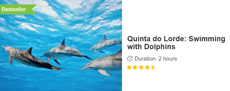 Button to Buy a GET YOUR GUIDE Quinta do Lorde Swimming with Dolphins Trip in Madeira, Portugal