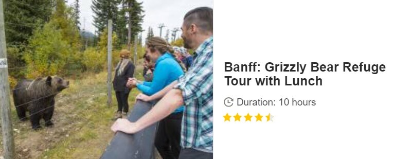 Button for Get your guide tour - Banff: Grizzly Bear Refuge Tour with Lunch, Canada
