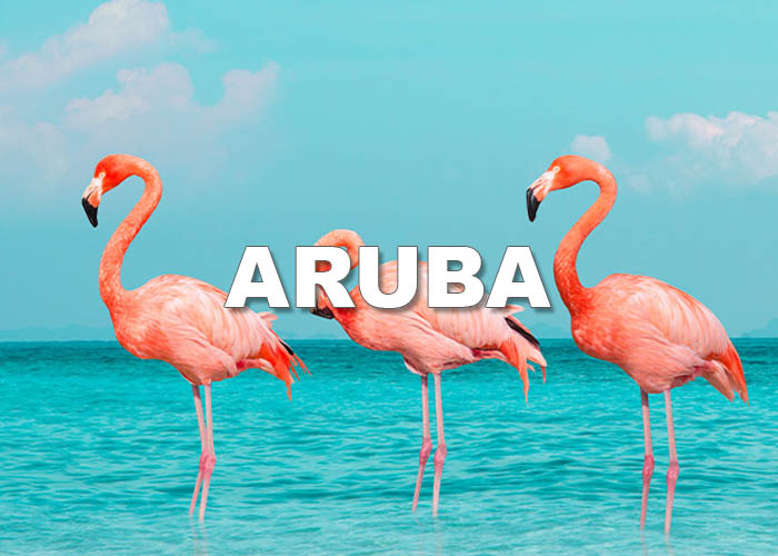 Button for Aruba page