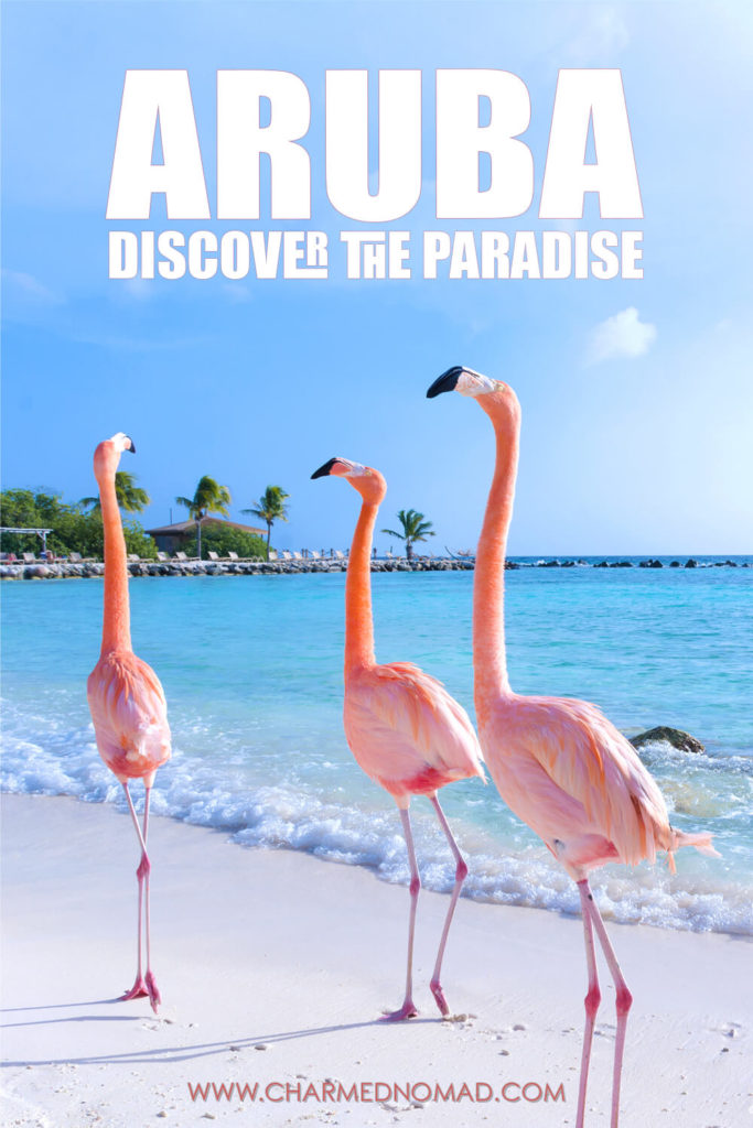 Pinterest Aruba Poster