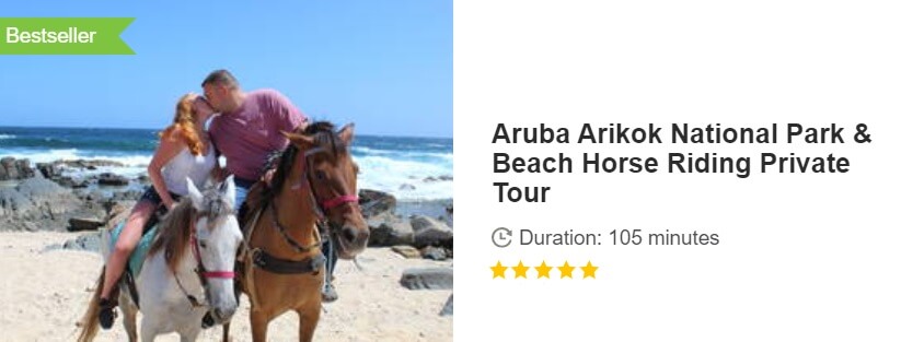 Button for Get your guide tour - Aruba Arikok National Park & Beach Horse Riding Private Tour