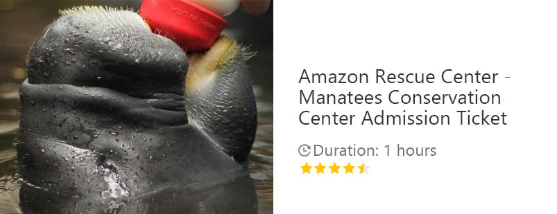 Button for Viator tour - Amazon Rescue Center - Manatees Conservation Center Admission Ticket