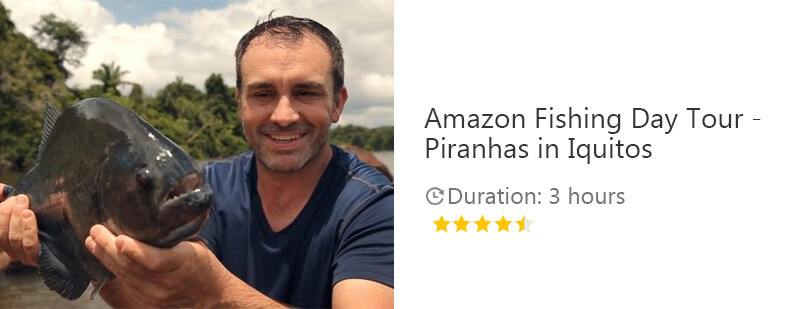 Button for Viator tour - Amazon Fishing Day Tour - Piranhas in Iquitos