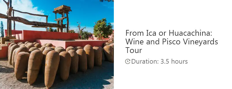 Button for Get your guide tour - From Ica or Huacachina: Wine and Pisco Vineyards Tour