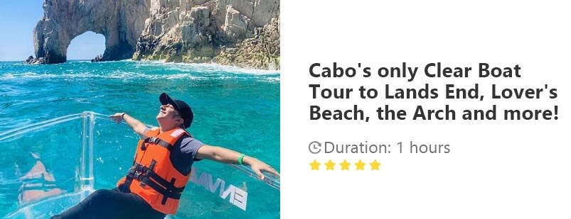 Button for Viator tour - Cabo's only Clear Boat Tour to Lands End, Lover's Beach, the Arch and more!
