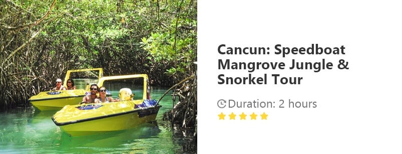 Button for Get your guide tour - Cancun: Speedboat Mangrove Jungle & Snorkel Tour