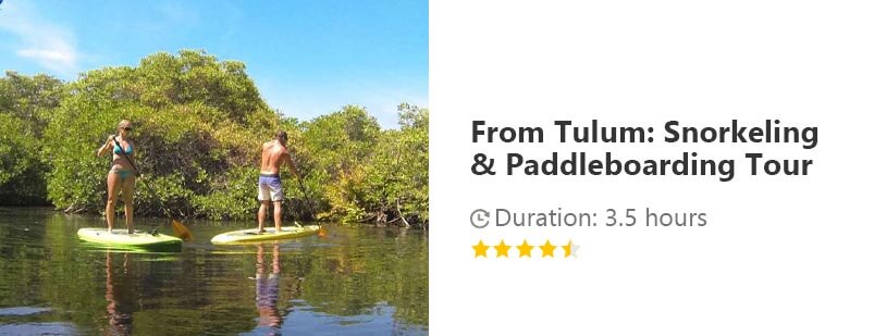 Button for Get your guide tour - From Tulum: Snorkeling & Paddleboarding Tour