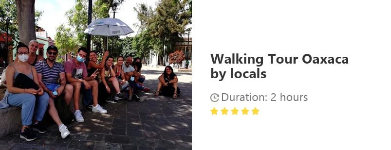 Button for Viator tour - Walking Tour Oaxaca by locals